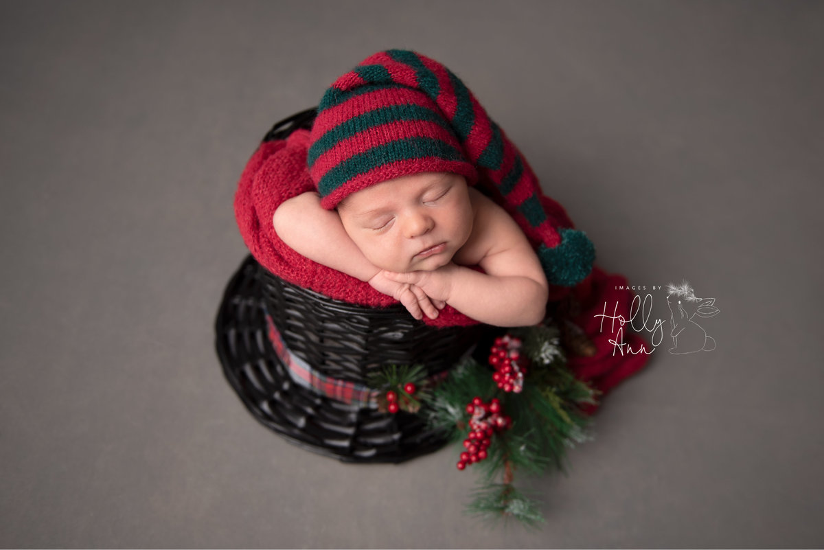 glens falls ny newborn christmas portrait session