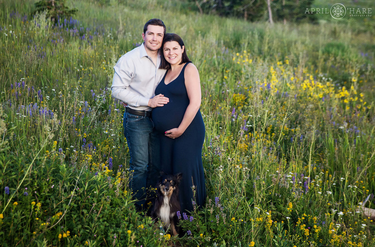 Colorado Maternity Photographer Dumont Lake Steamboat Springs