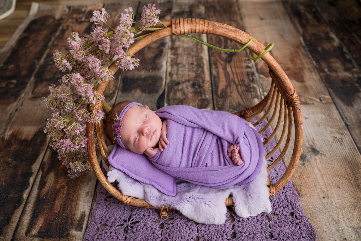 colorado wedding photographers captures  a newborn wrapped in purple swaddles under a wooden basket with a brown background