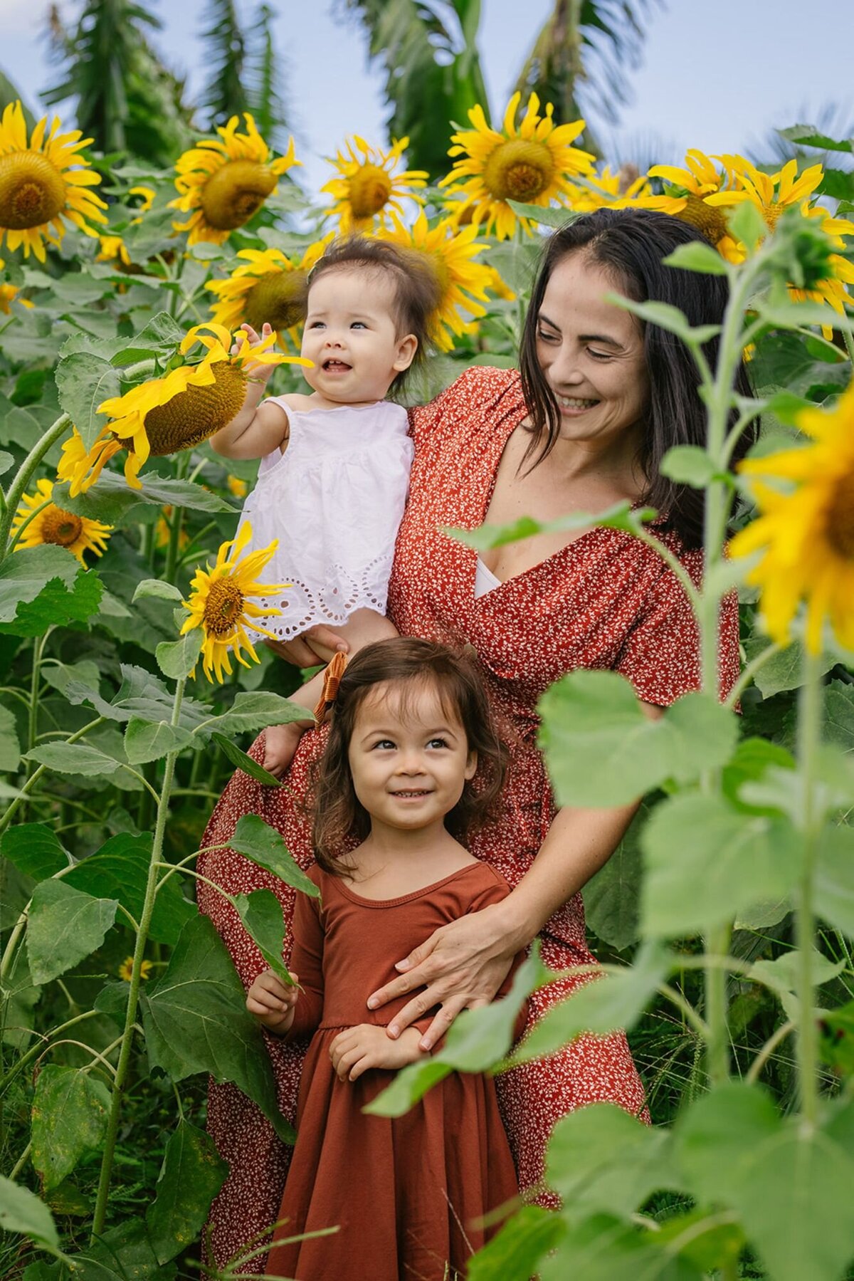 mom and 2 girls pose in a field of sunflowers in oahu