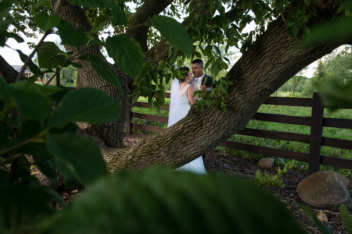 couple portrait shot through trees