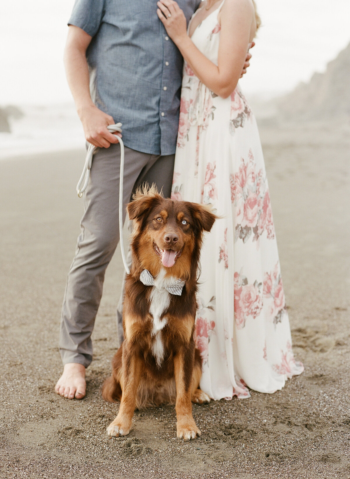 Sonoma Coast Engagement-12