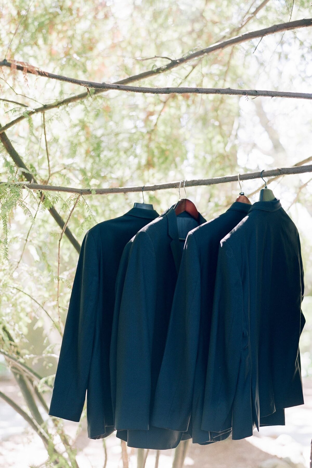 Black suit jackets for groomsmen hanging from a tree branch.