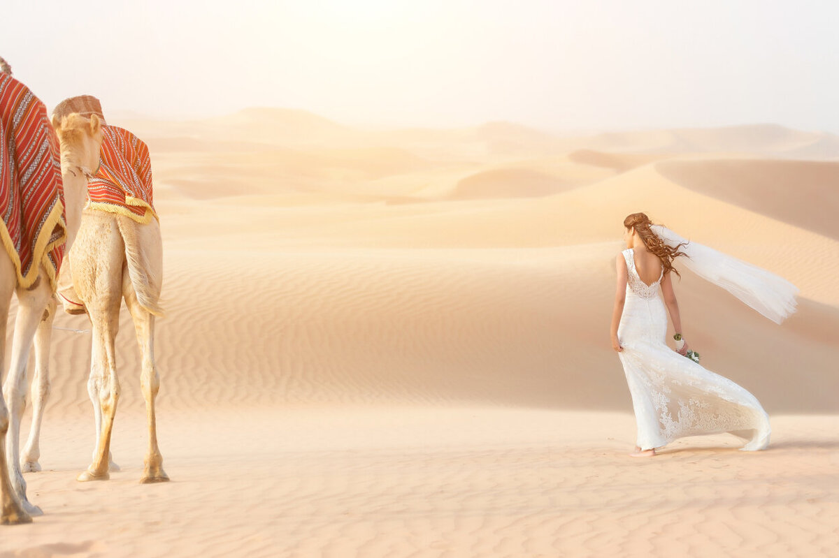 Bride with her lace wedding dress overlooking the Arabian desert dunes, elopement photoshoot organized by Lovely & Planned