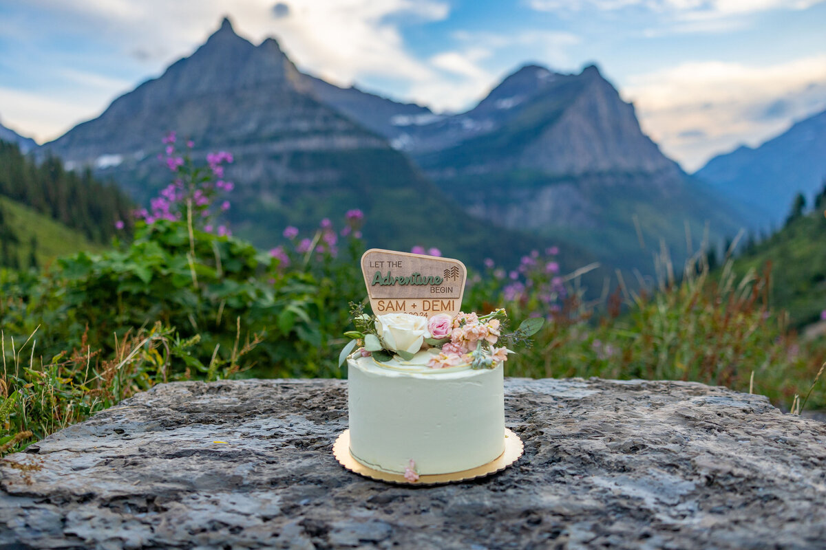 Glacier National Park Summer Wedding D&S (29)