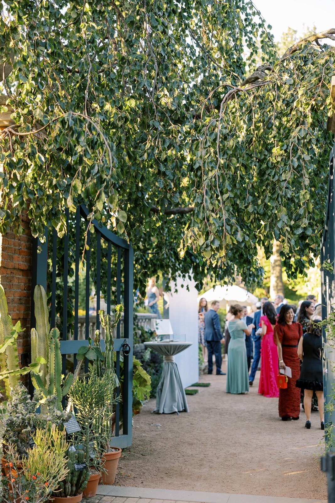 chicago-botanic-garden-wedding-8