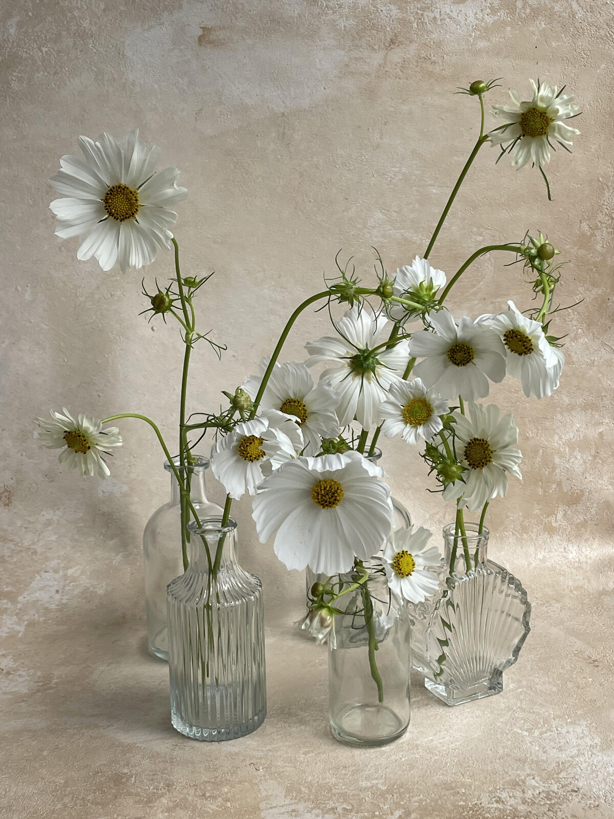 Bee's Blossoms Floral Studio Gold Coast Australia Florist Wedding Event Floral Design Flower Workshops Retail Deliveries Belle Clark Whimsical Romantic Lush Flowers Wedding Bouquets Centerpieces unnamed-2