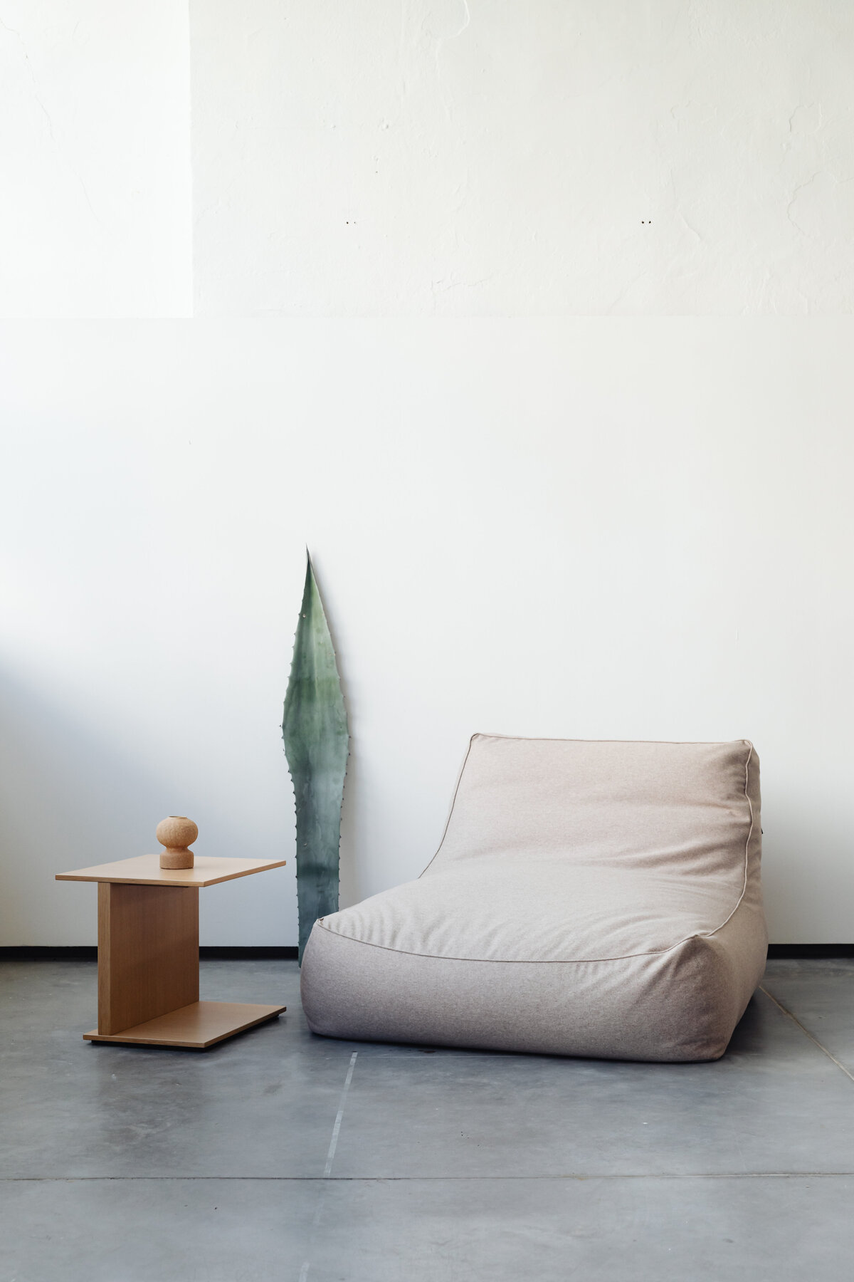kaboompics_beige-armchair-table-agave-leaf-22074