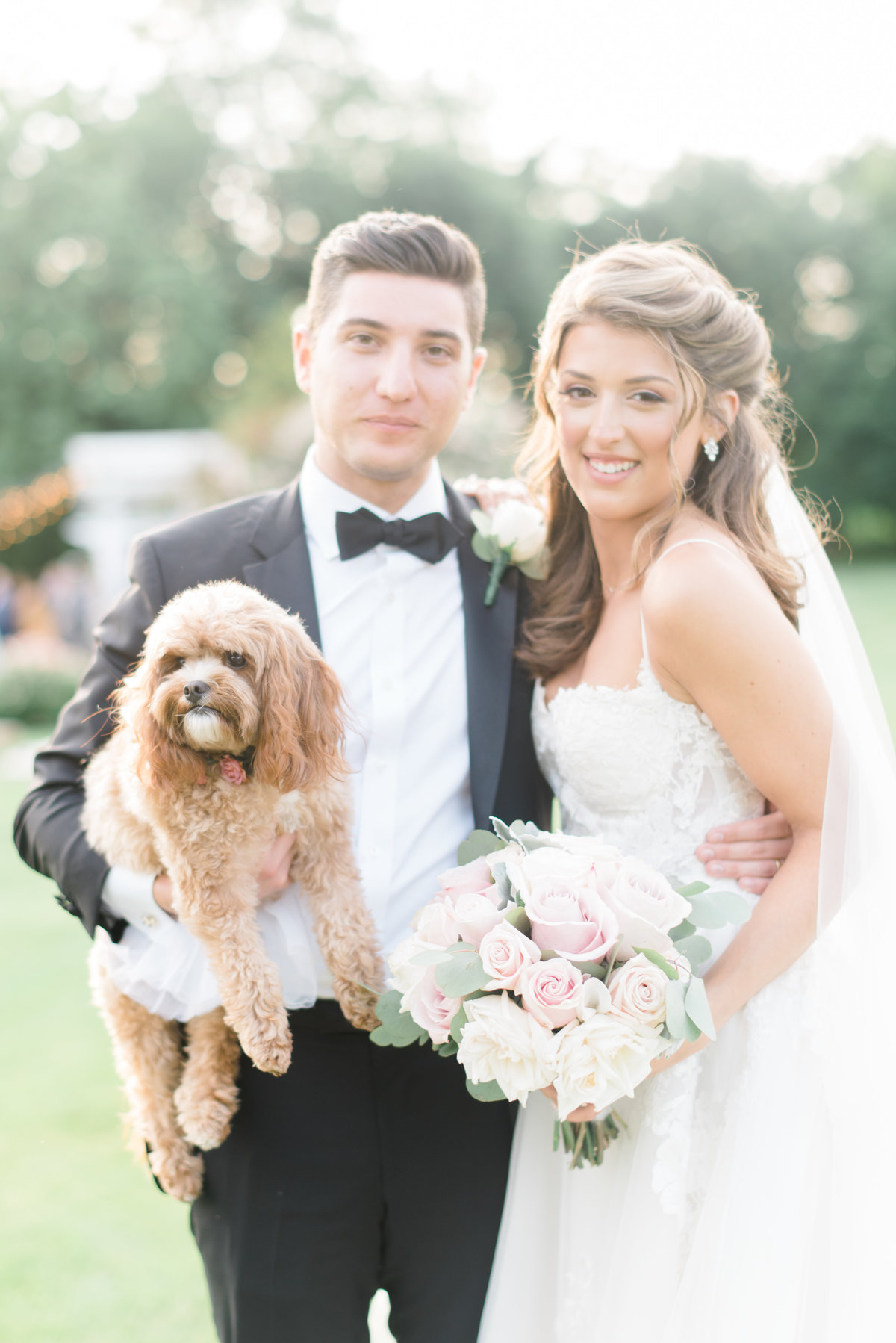 dog-with-bride-and-groom