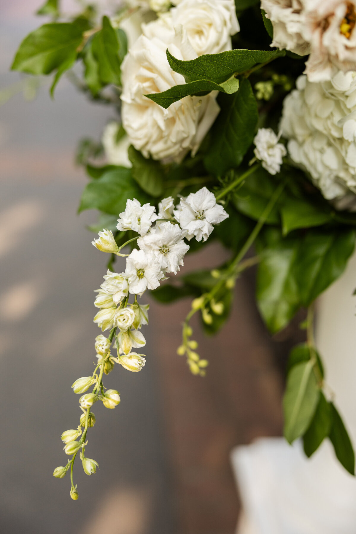 chicago-botanic-garden-wedding-summer-alex-ferreri--38