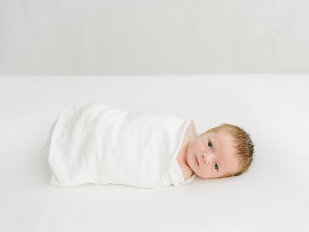 navy-dress-studio-newborn-photos-9