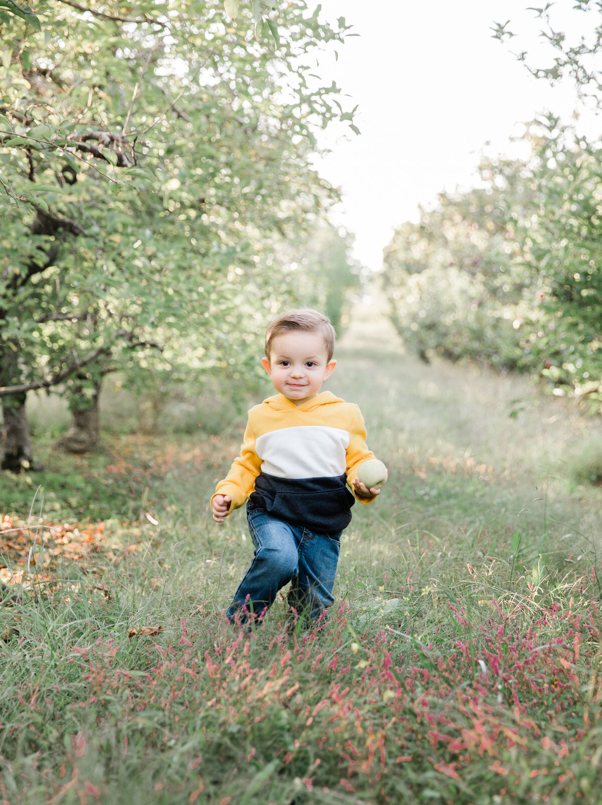 little boy walking through the apple tress in Cleveland, TN