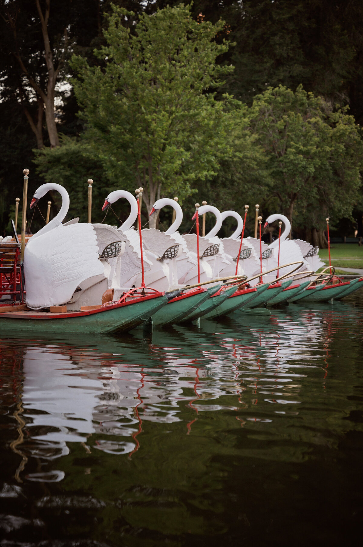 boston-engagement-photographers-boston-garden-engagement-portraits-city-engagement-historical-swan-boat
