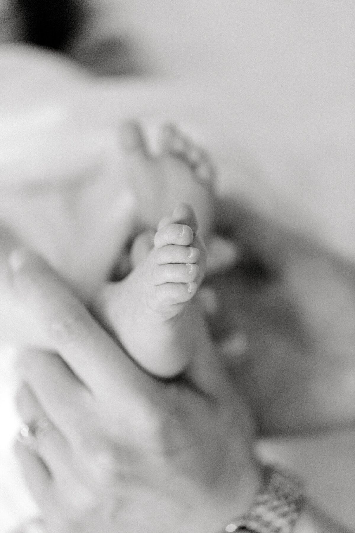 Harper Dallas Newborn Session | Sami Kathryn Photography | Dallas Portrait Photographer-4