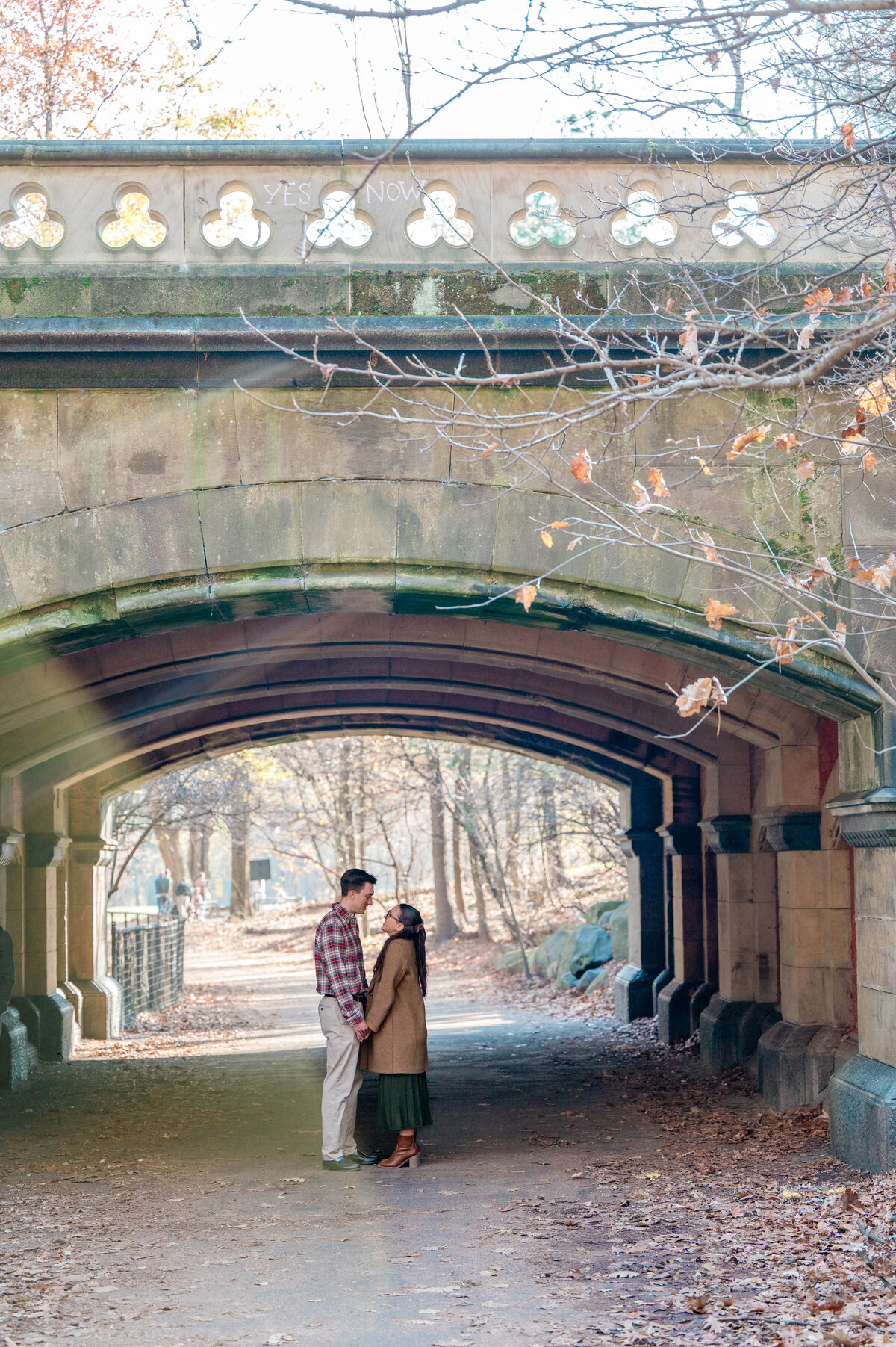 Best Wedding and Engagement Photographers in New York Prospect Park Engagement in Brooklyn-22