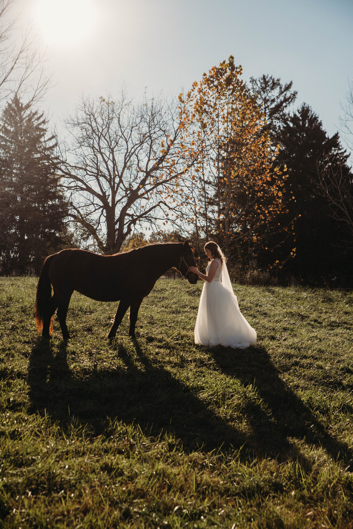 Bride pets horse at golden hour at Columbia Ballroom
