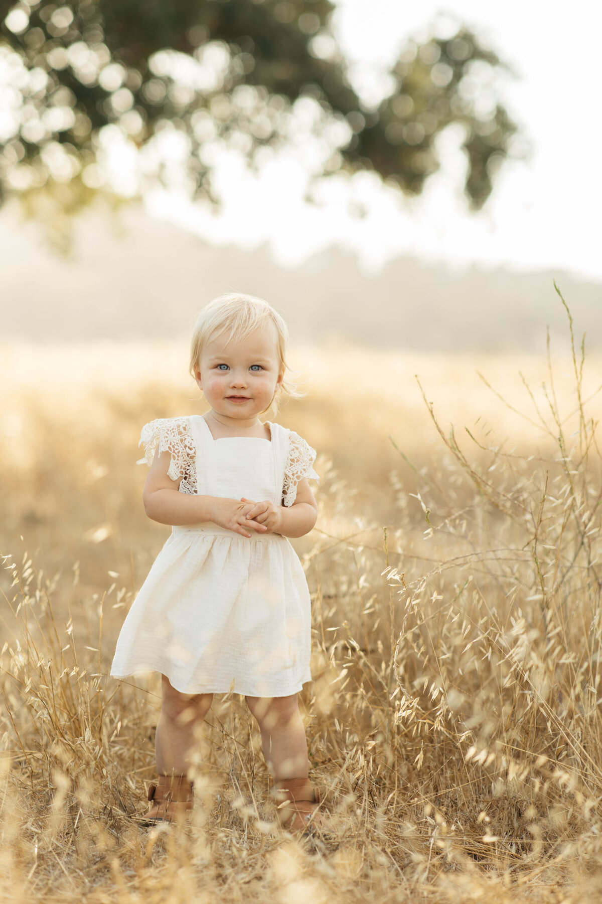 Bay-Area-Maternity-Photographer-Clark2