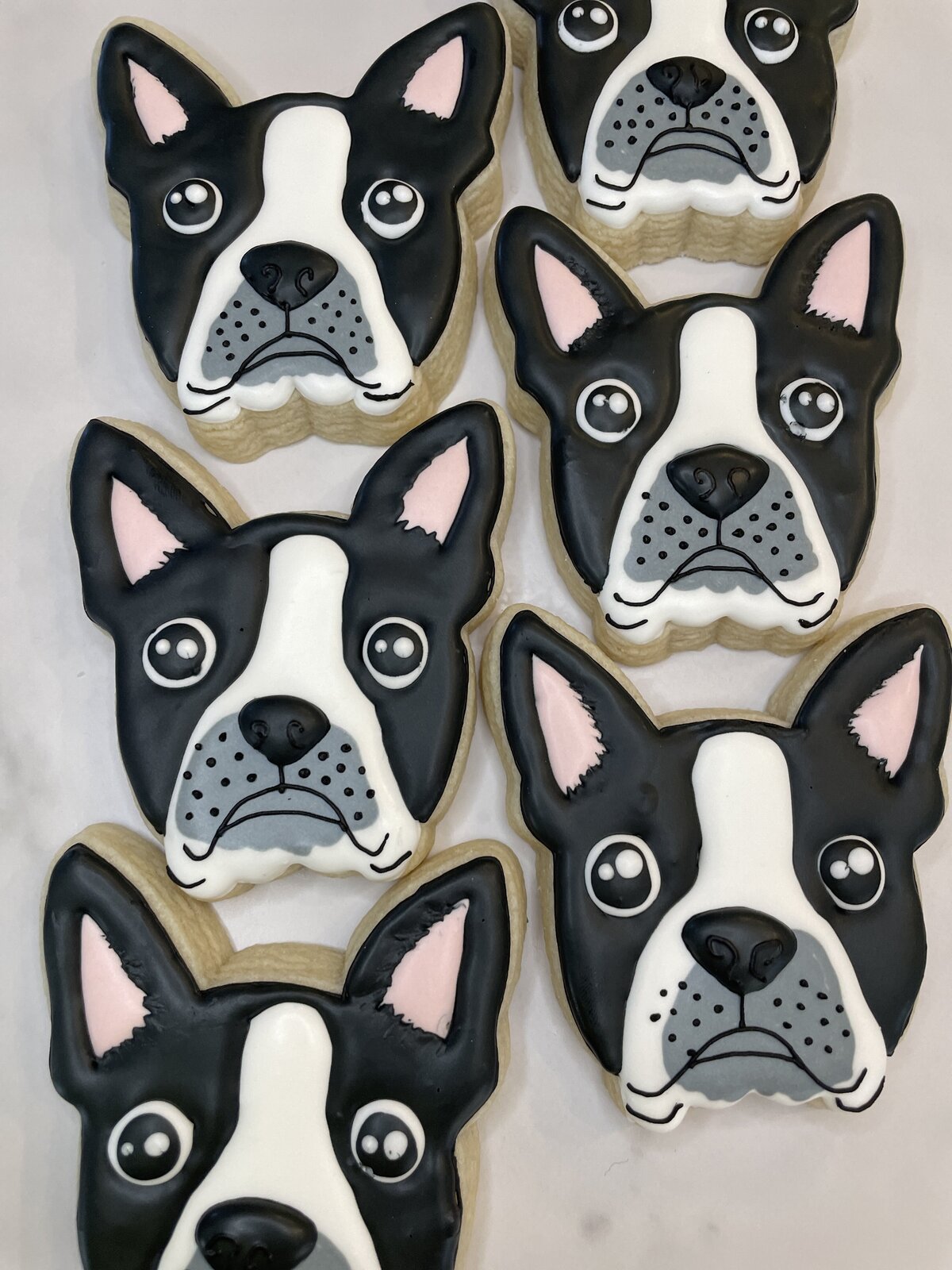 French Bulldog cookies perfect for your pup's party in giblert, az.