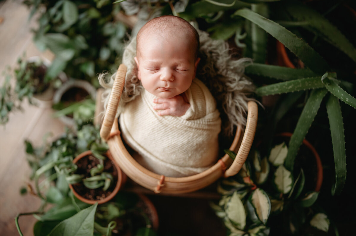 charleston-westvirginia-newborn-photographer-10