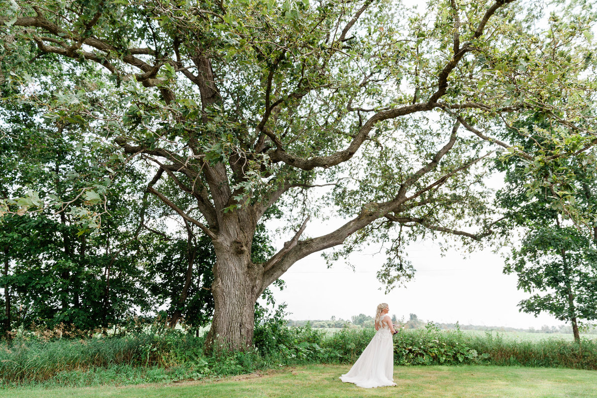 Wildwood family farm bride under tree