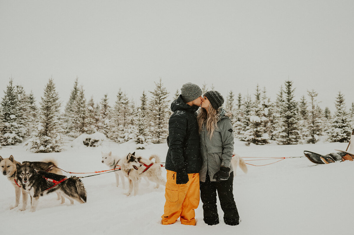 winter-montana-dog-sledding-proposal-presley-gray-photo-7404