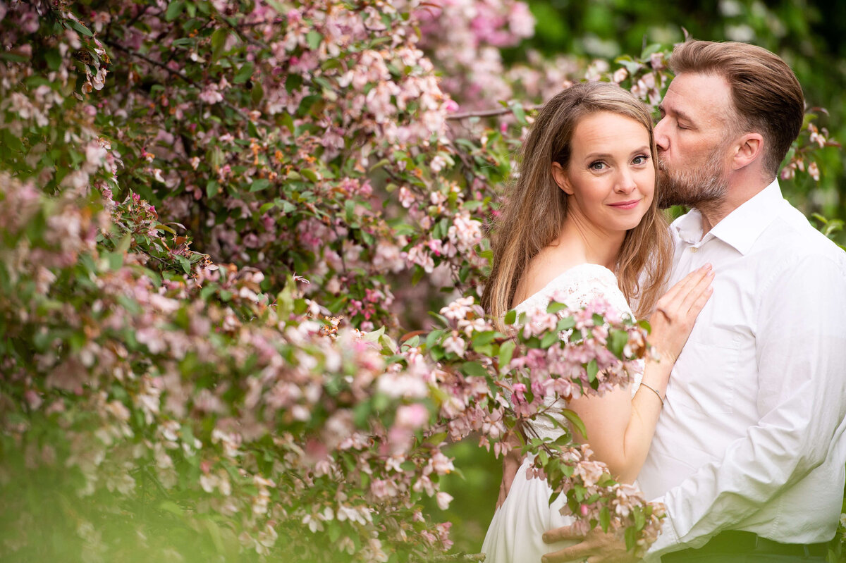 dad kissing mom in the blossoms during their family photography in Ottawa