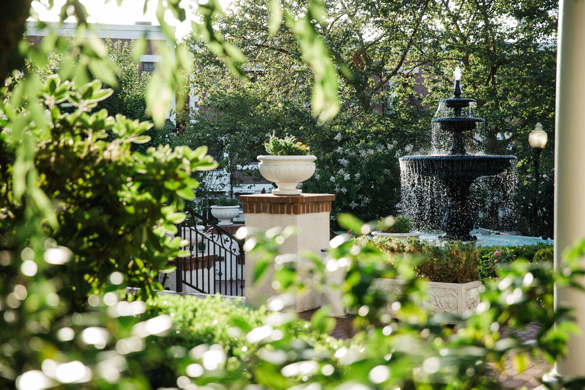 Tucked in the heart of Midtown, Vizcaya's lush greenery and gardens creates a romantic getaway from the hustle and bustle of downtown.