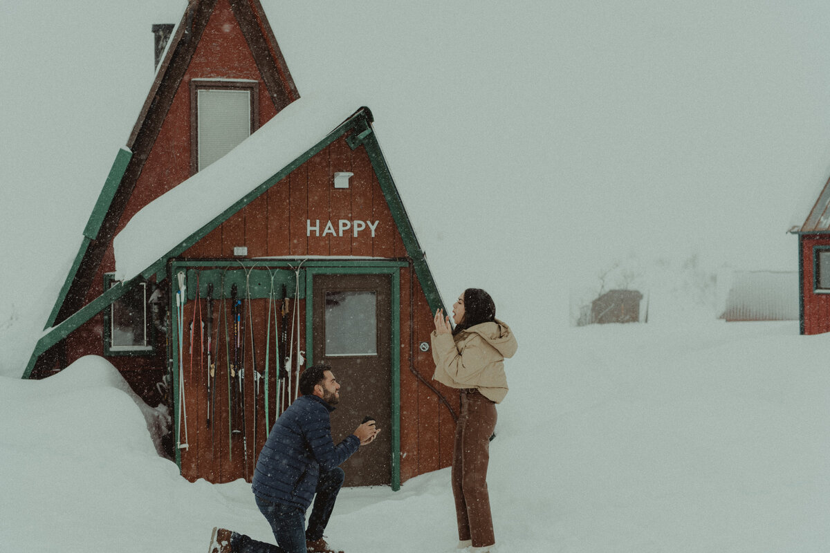 surprise proposal in alaska