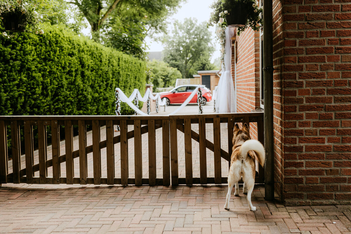 Bruiloft Meppel fotografie-18