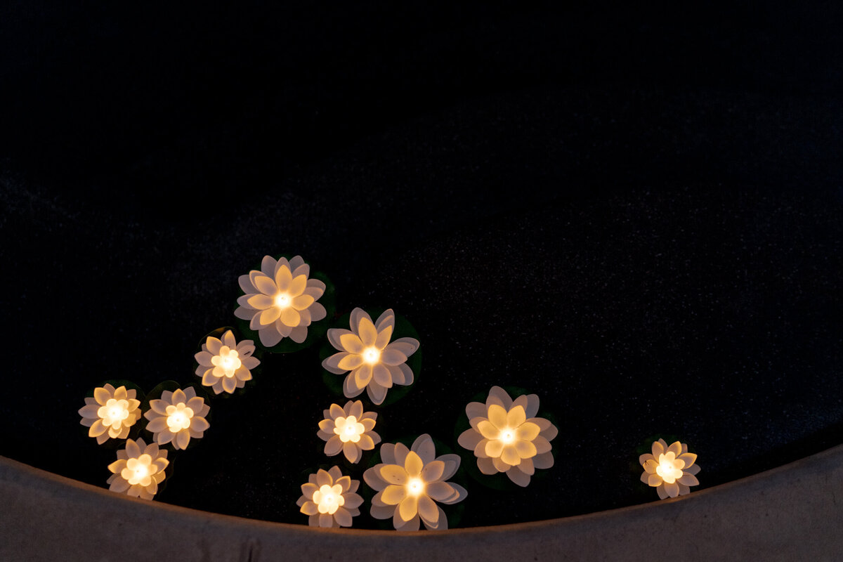 Decoration of spirited flowery lights on a dark background.