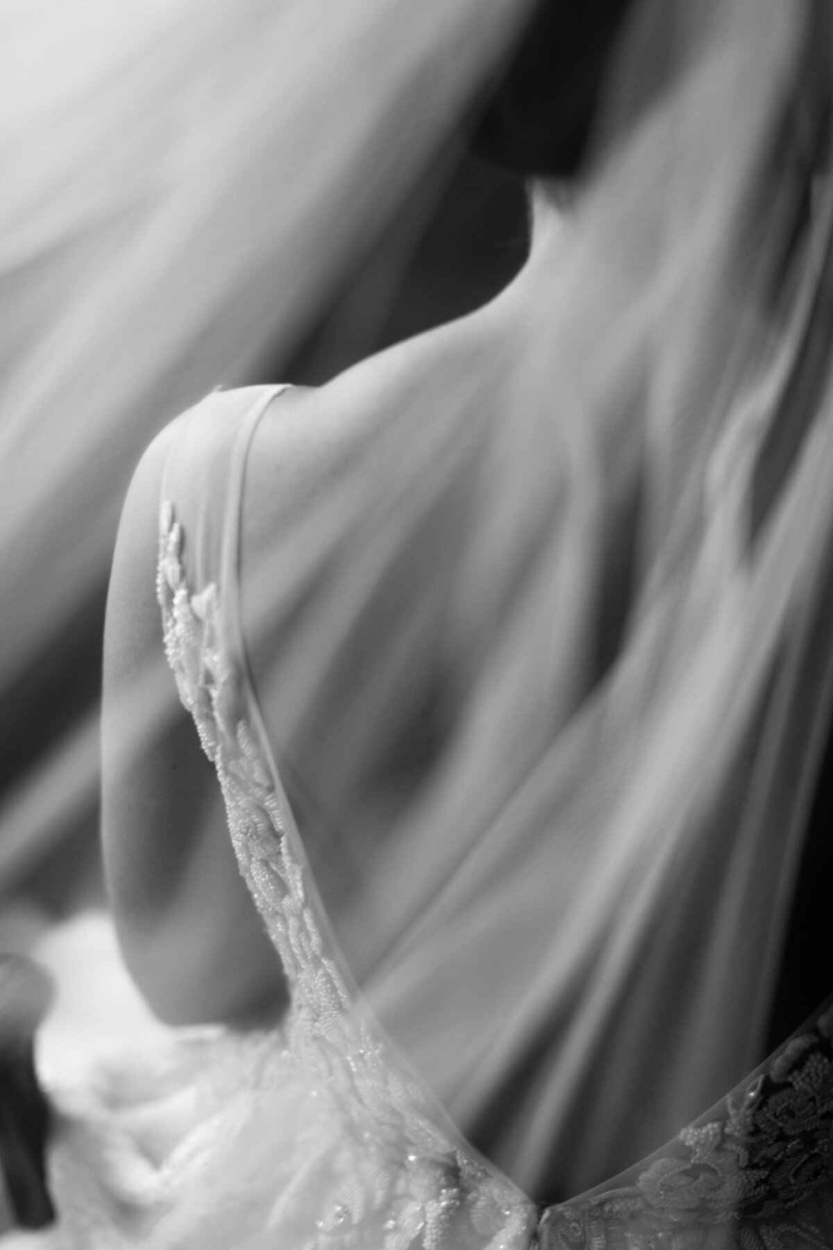 _62I3818