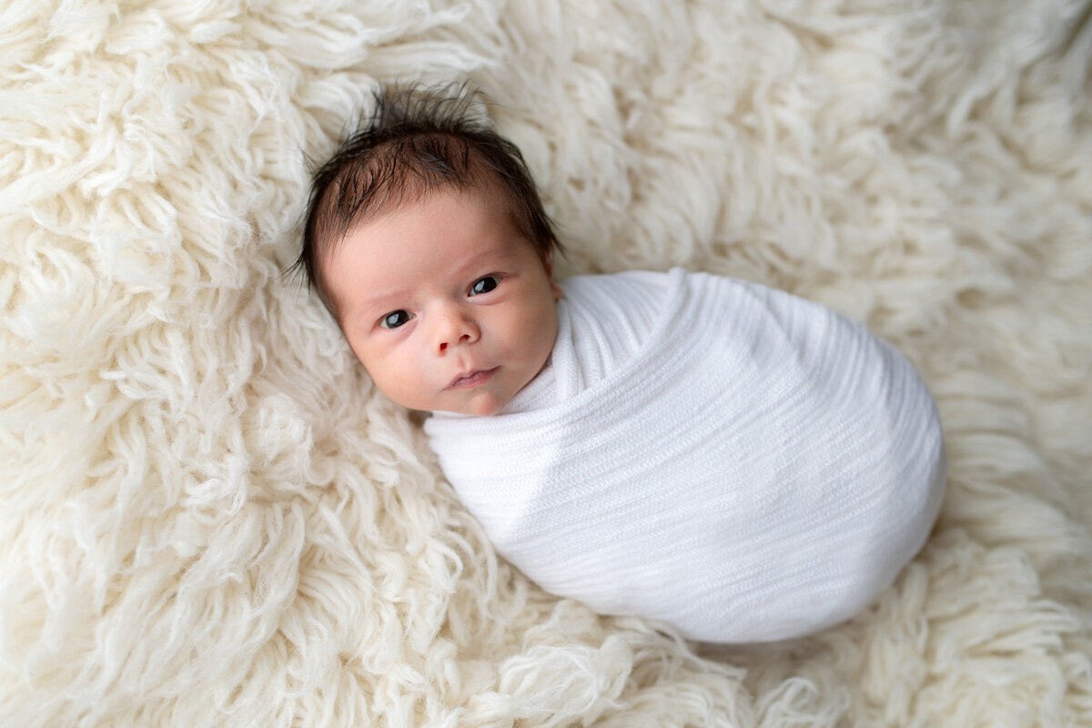 Newborn session of baby boy swaddled