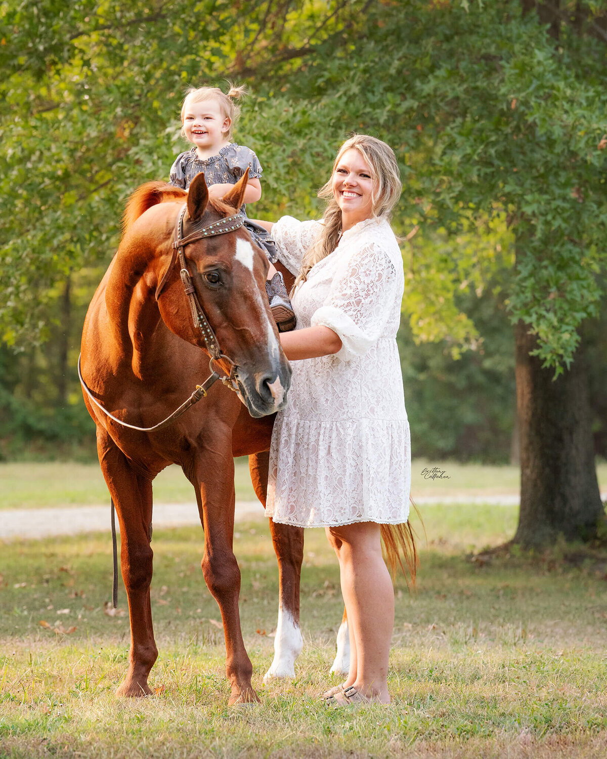 Southern-illinois-horse-photographer-#57