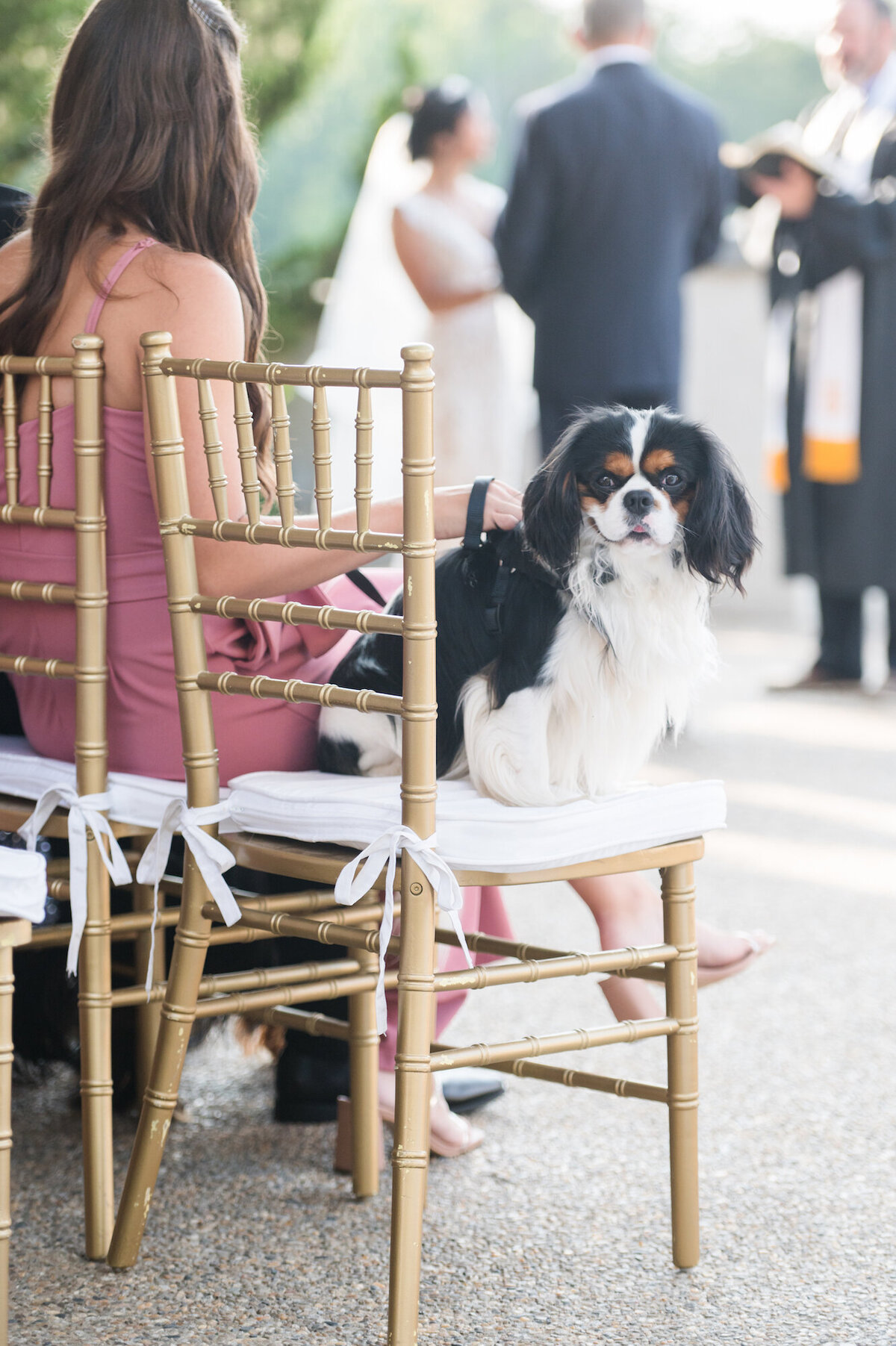 hotel-domestique-wedding-greenville-sc-photography-580