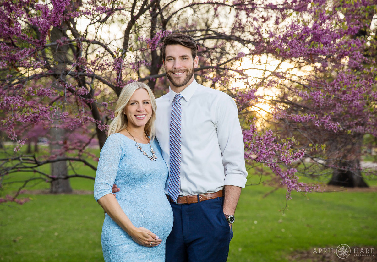 Beautiful Denver Maternity Photography in pink spring blossoms at City Park
