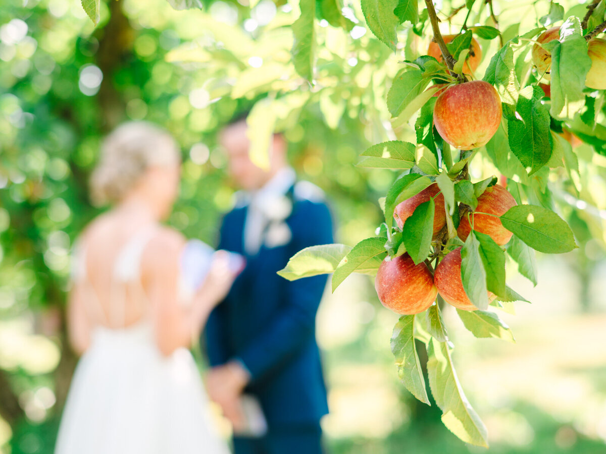 apple-orchard-wedding-williams-orchard-indiana-kassieanaphotography.com