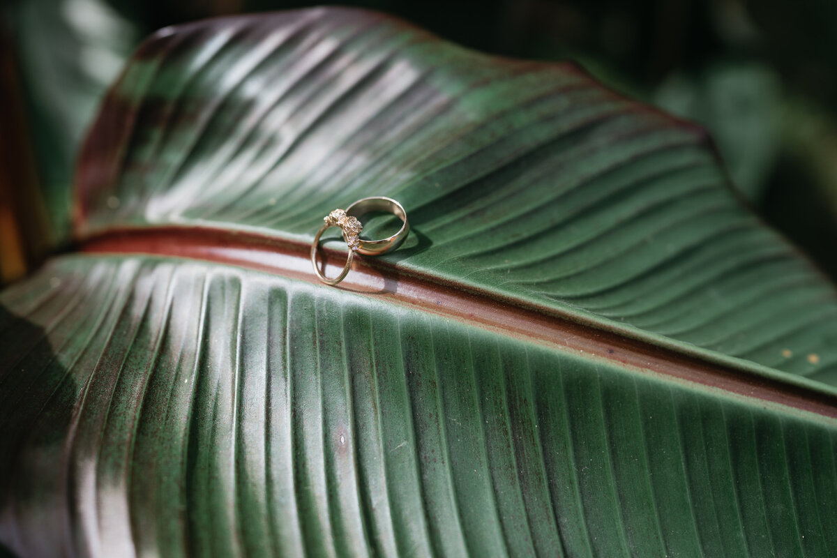 Wedding rings with plant