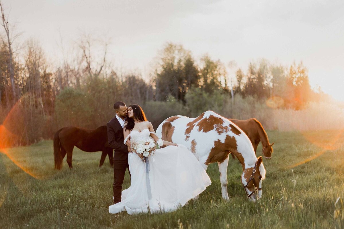 bride and groom in field at sunset with horses