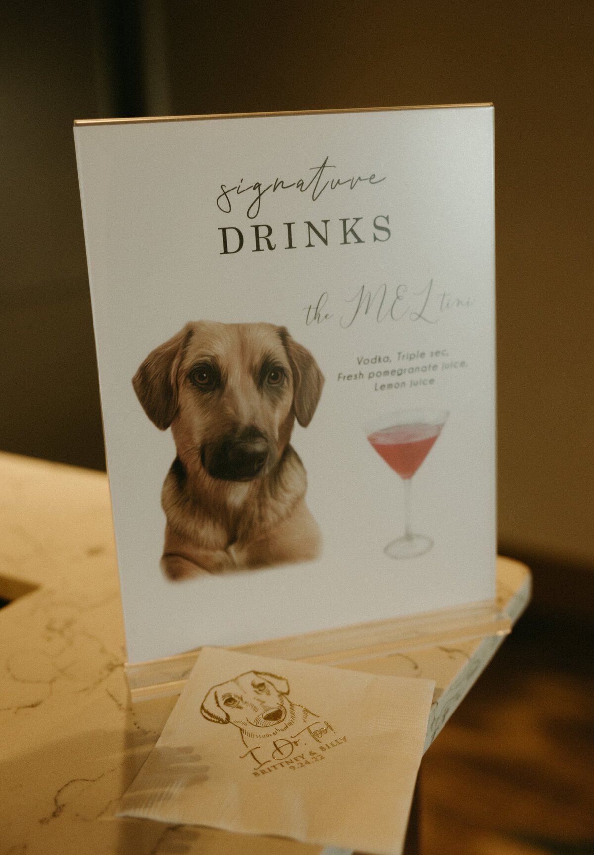 Event-Planning-DC-Washington-Dc-Wedding-Intercontinental-Wharf-Lexi-Truesdale-cocktail-sign-dog