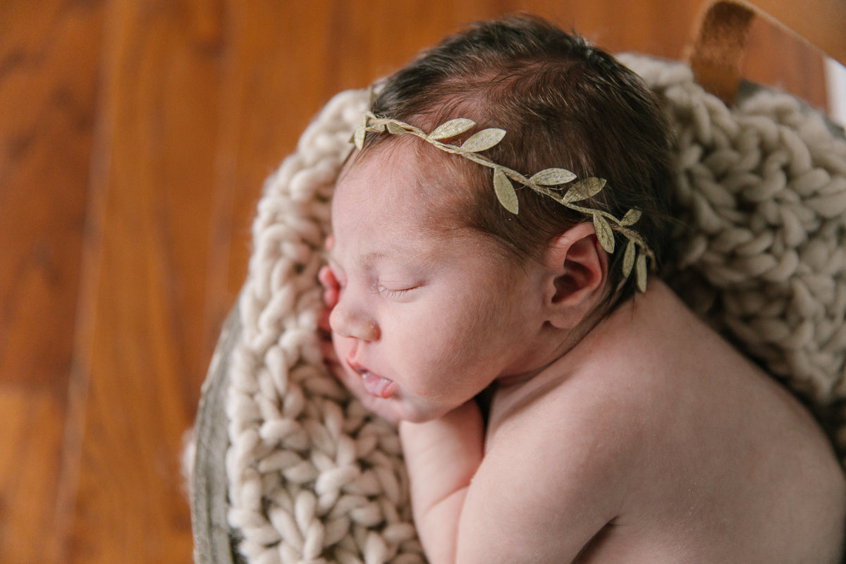 raleigh newborn photographer-lena-8890