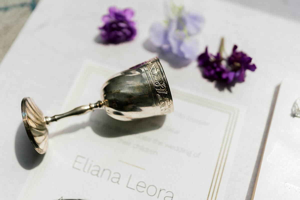 Eliana-Melmed-Photography-Chicago-LosAngeles-Jewish-WeddingPhotography-ElianaSklar-Details-00017