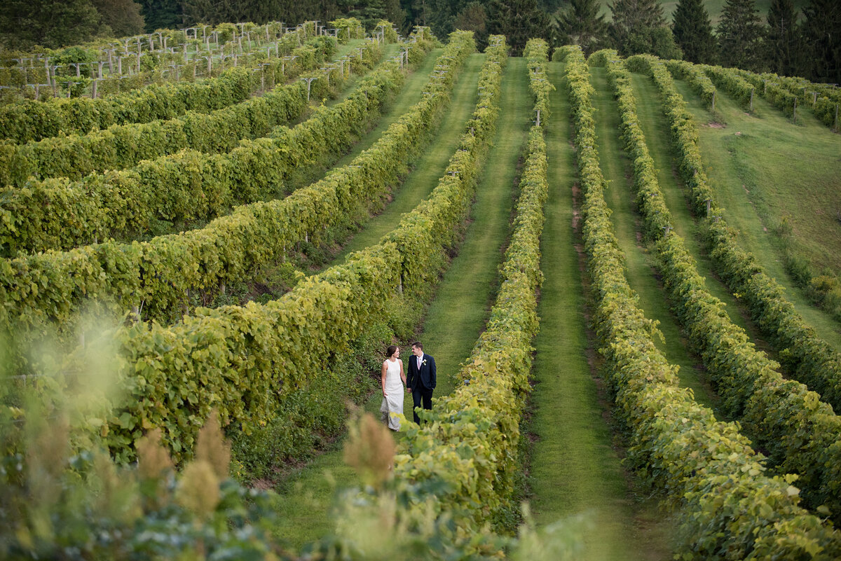 image of bride and groom walking in vineyard