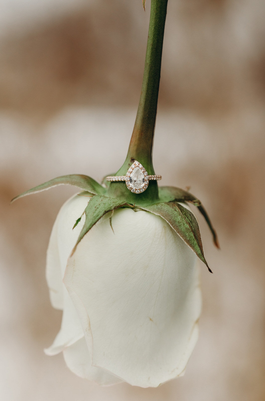 cool-engagement-ring-shots