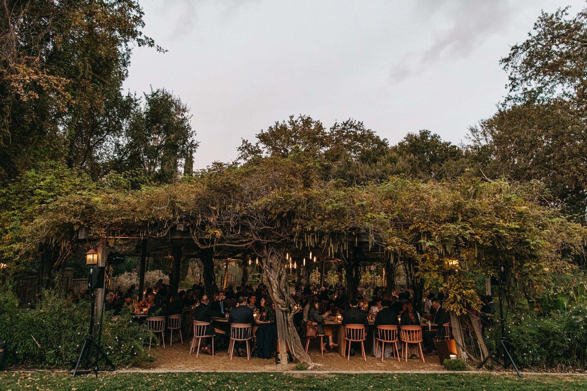 Campovida wedding grape vine arbor dinner