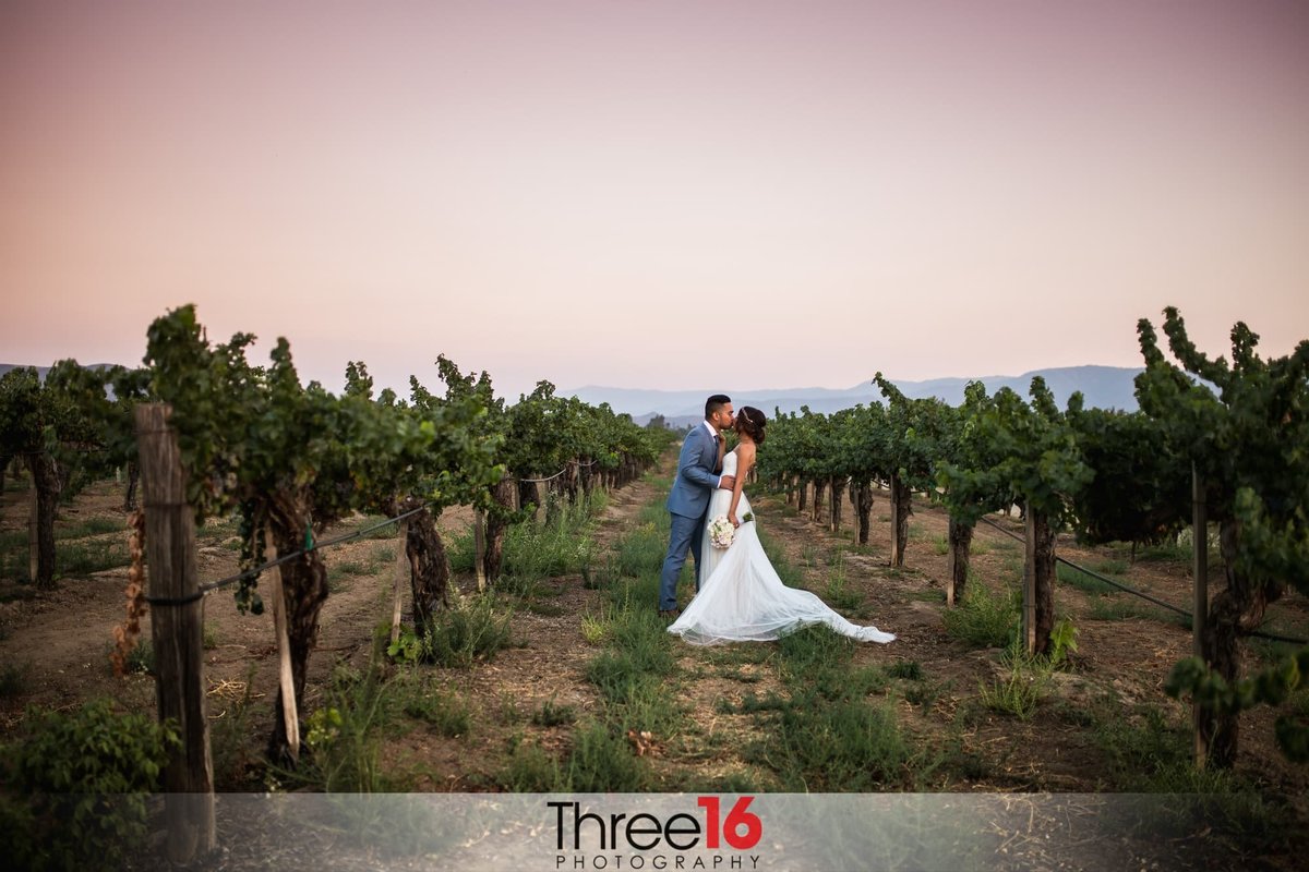 Bride and Groom share a kiss in the winery orchard at the Ponte Winery wedding venue in Temecula, CA