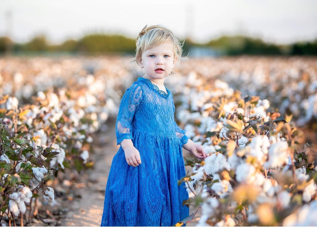 Toddle girl wearing a blue dress standing in a cotton field and looking at the camera