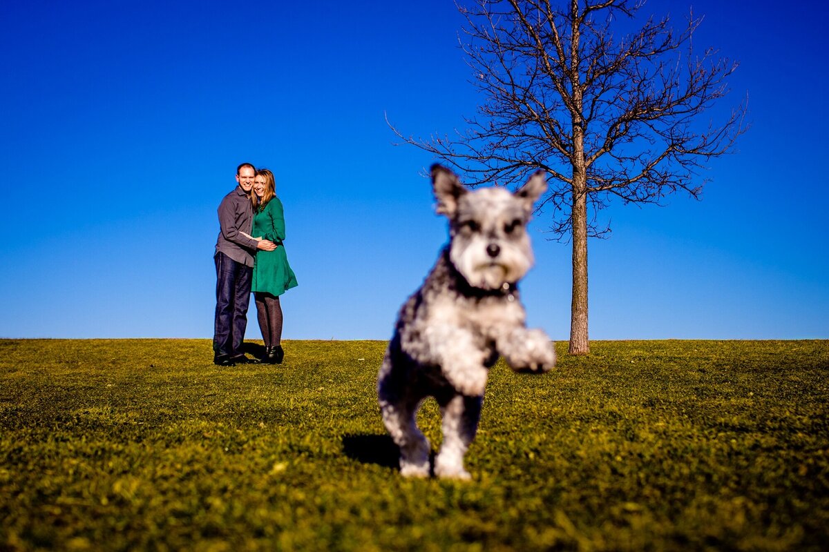 A couple laughs together as their dog runs by during a Montrose Harbor engagement session.