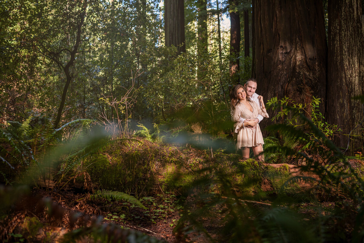 Redway-California-engagement-photographer-Parky's-Pics-Photography-Humboldt-County-redwoods-Avenue-of-the-Giants-engagement-4.jpg