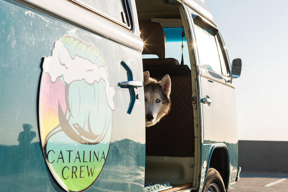 Catalina-Crew-Venice-Beach-California-Surf-Lifestyle-Culture-012