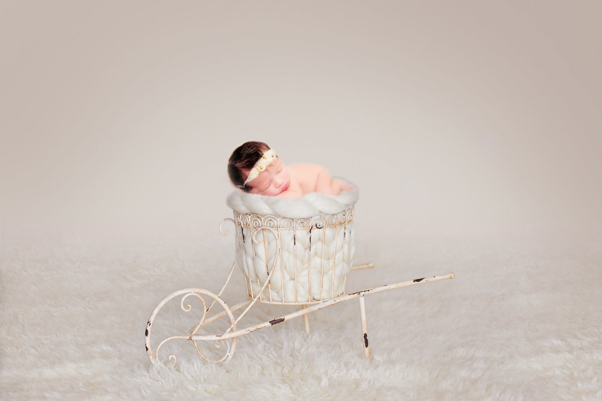 newborn portrait photography in traverse city michigan